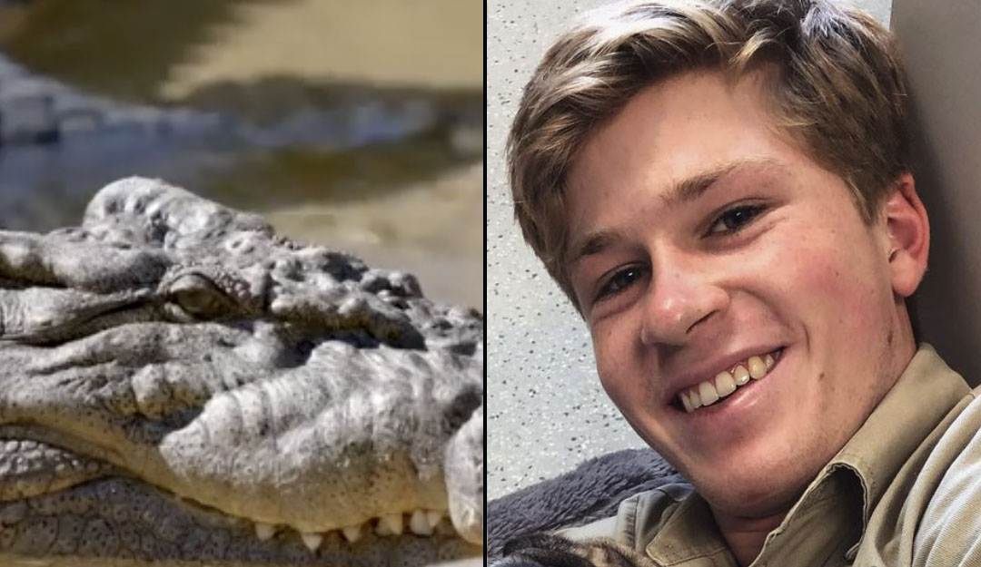 In response to a terrible video becoming viral, Robert Irwin, son of Steve Irwin, had his appearance “cancelled.”