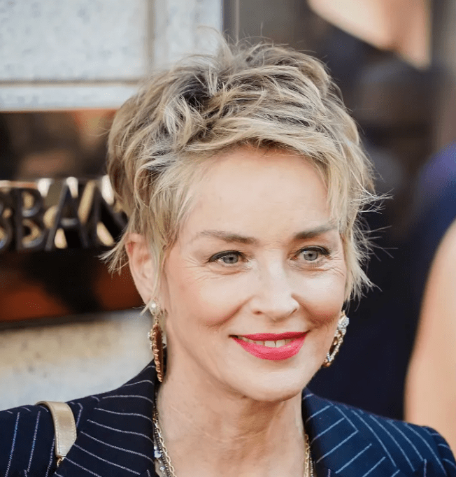 Sharon Stone at 65: Timeless Beauty and Style