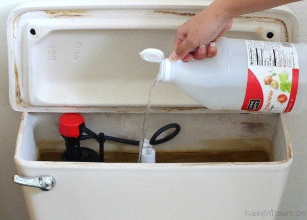 Spring Cleaning Your Bathroom: Try a Homemade Natural Toilet Cleaner!