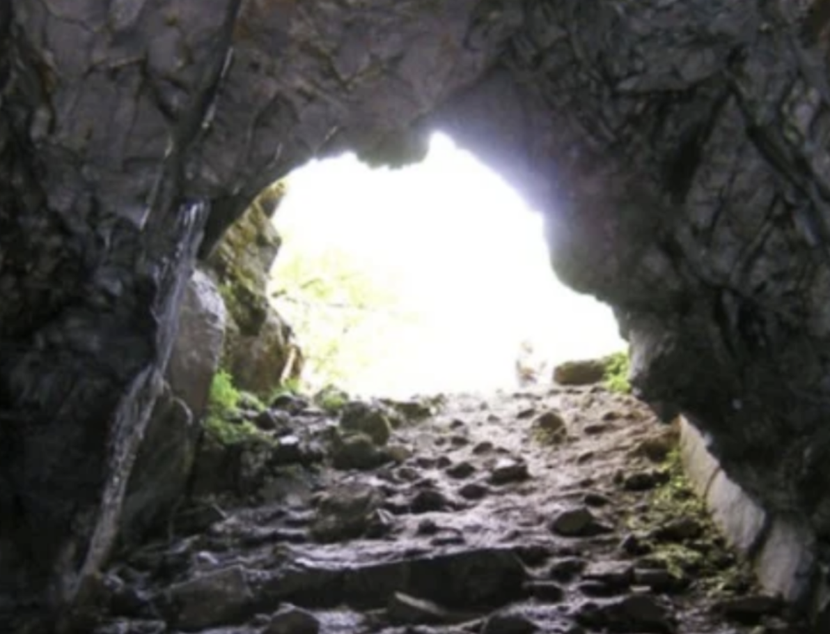 A Remarkable Story of a Man and His Dog in a Cave