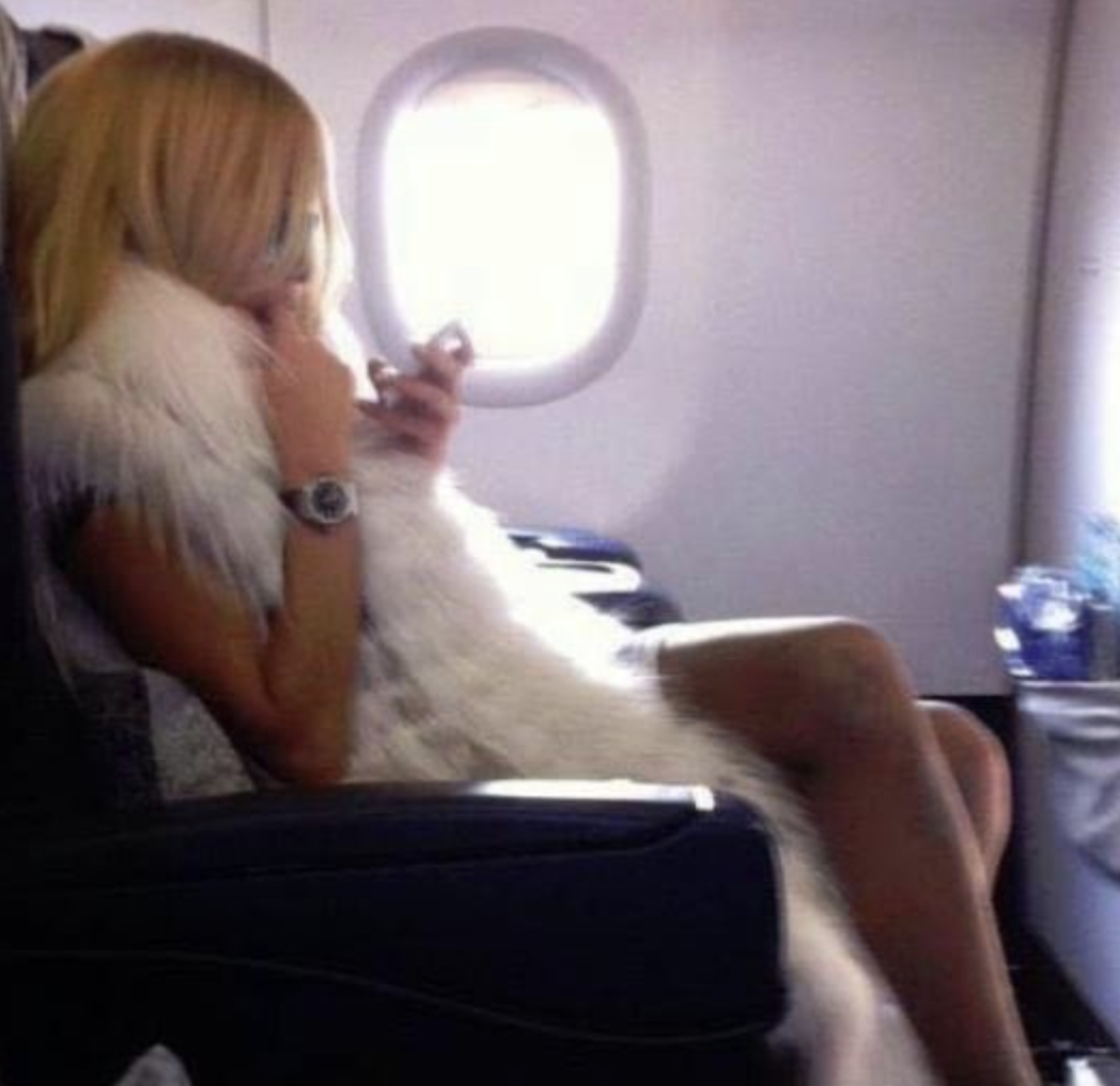 A plane is on its way to Toronto , when a blonde in economy class gets up and moves to the first class section and sits down.