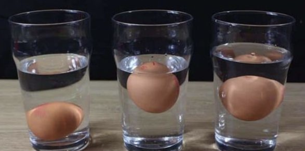 5 Ways to Tell if an Egg is Fresh or Rotten