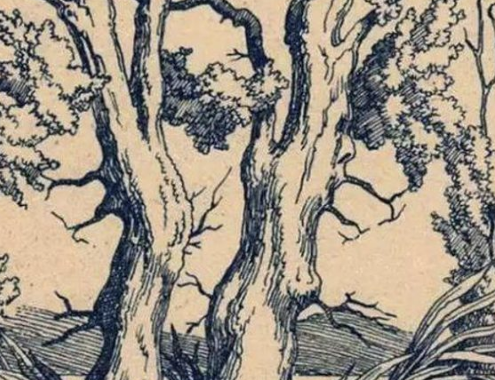 Can You Find the Hidden Faces in this Vintage Tree?