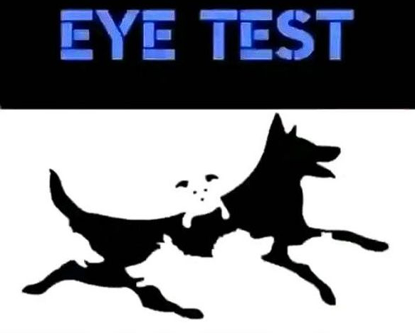 Test Your Vision with This Fun Eye Test!