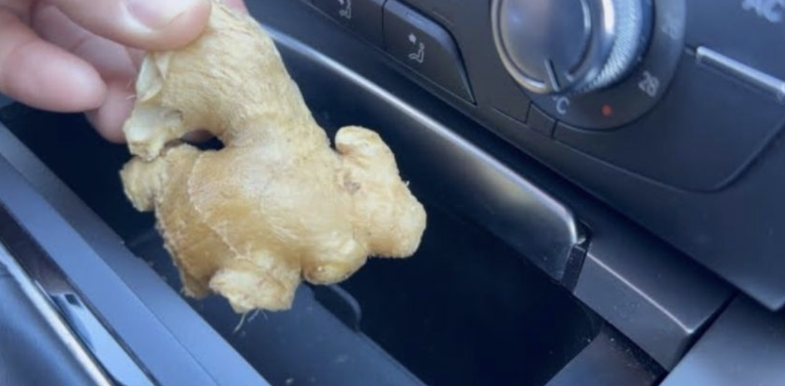 Ginger: Your Secret Weapon in the Car