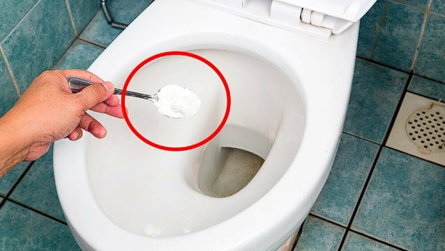 Transforming Your Toilet Cleaning Routine