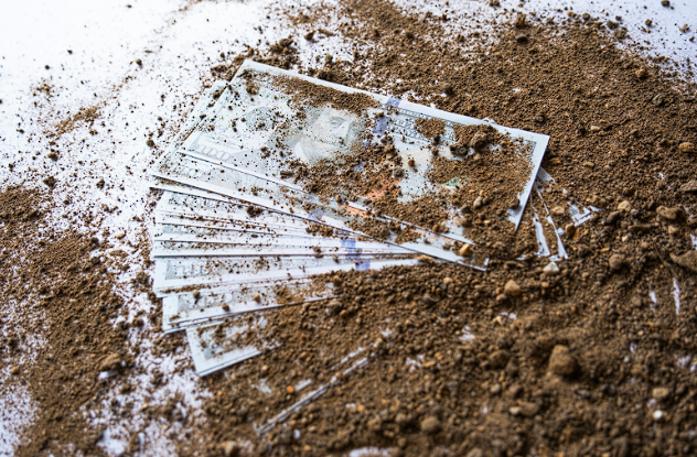 Poor Man Removes His Lawn and Discovers His Entire Yard Is Covered in Dollars