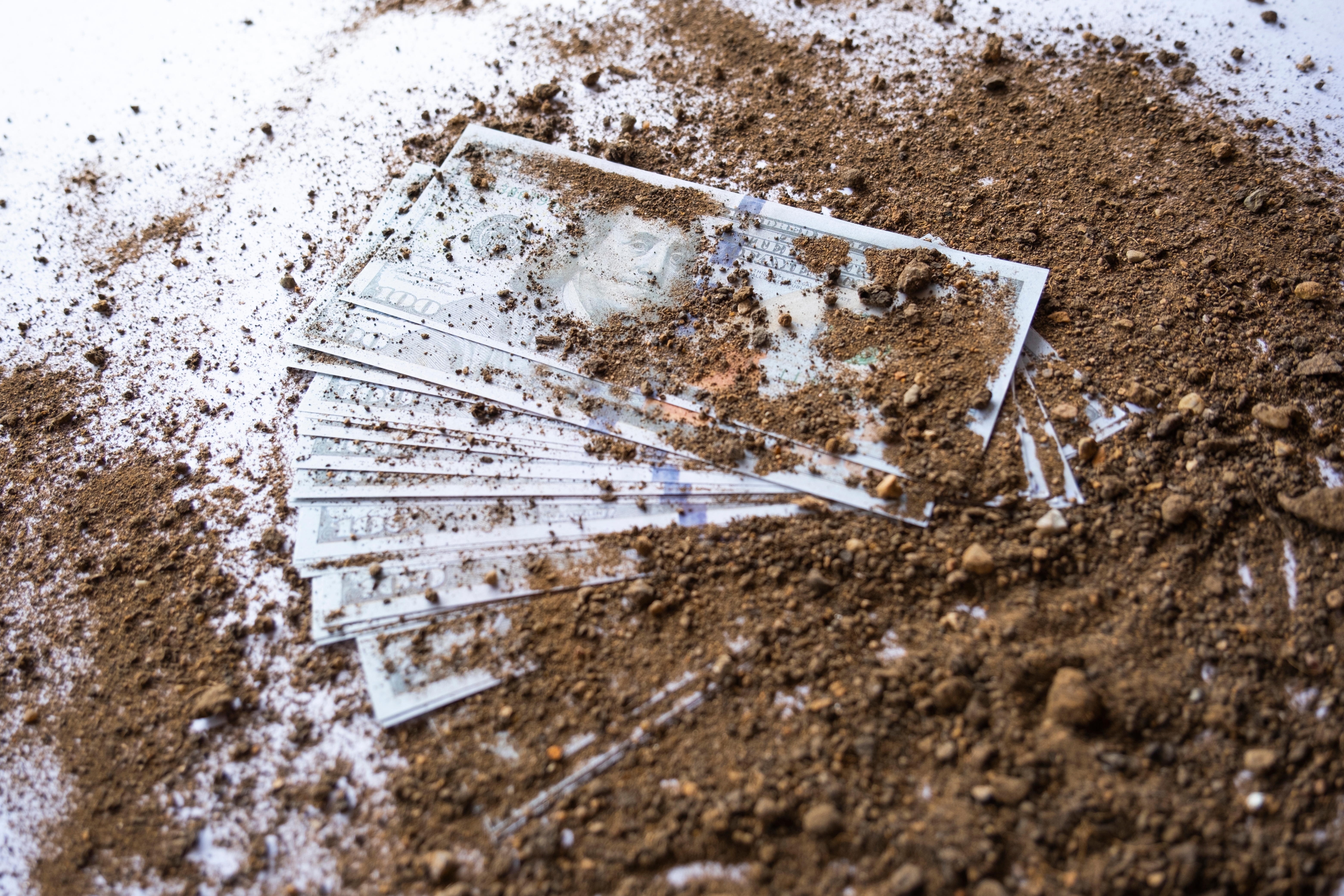 Dollars covered in soil | Source: Shutterstock