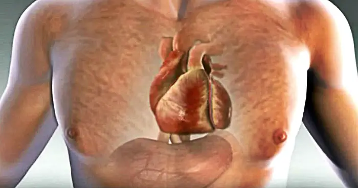 A month before a heart attack, your body will warn you of these 7 signs